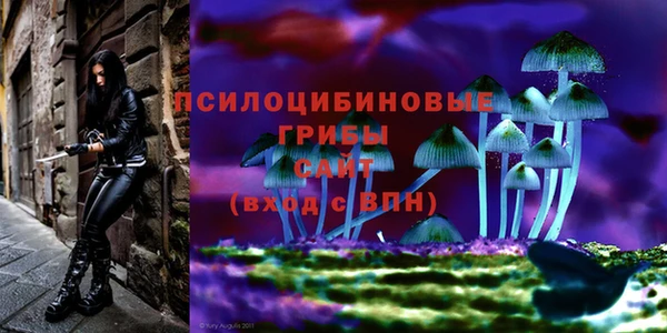 прущие крисы Осташков