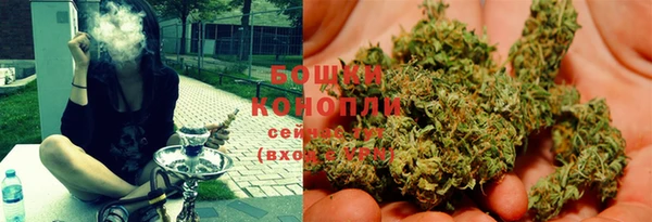 PSILOCYBIN Богданович