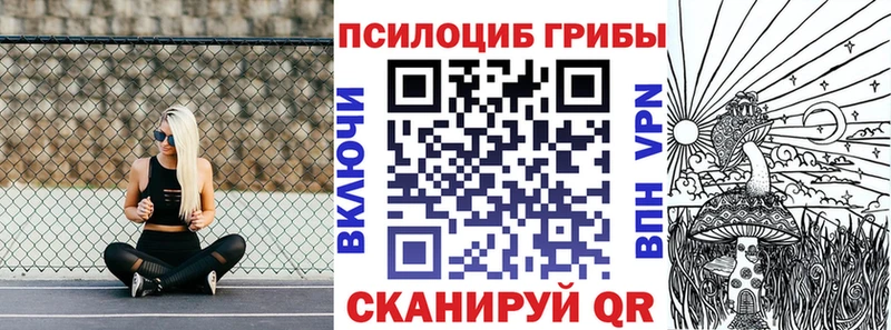 Псилоцибиновые грибы мухоморы  где продают наркотики  Светогорск 
